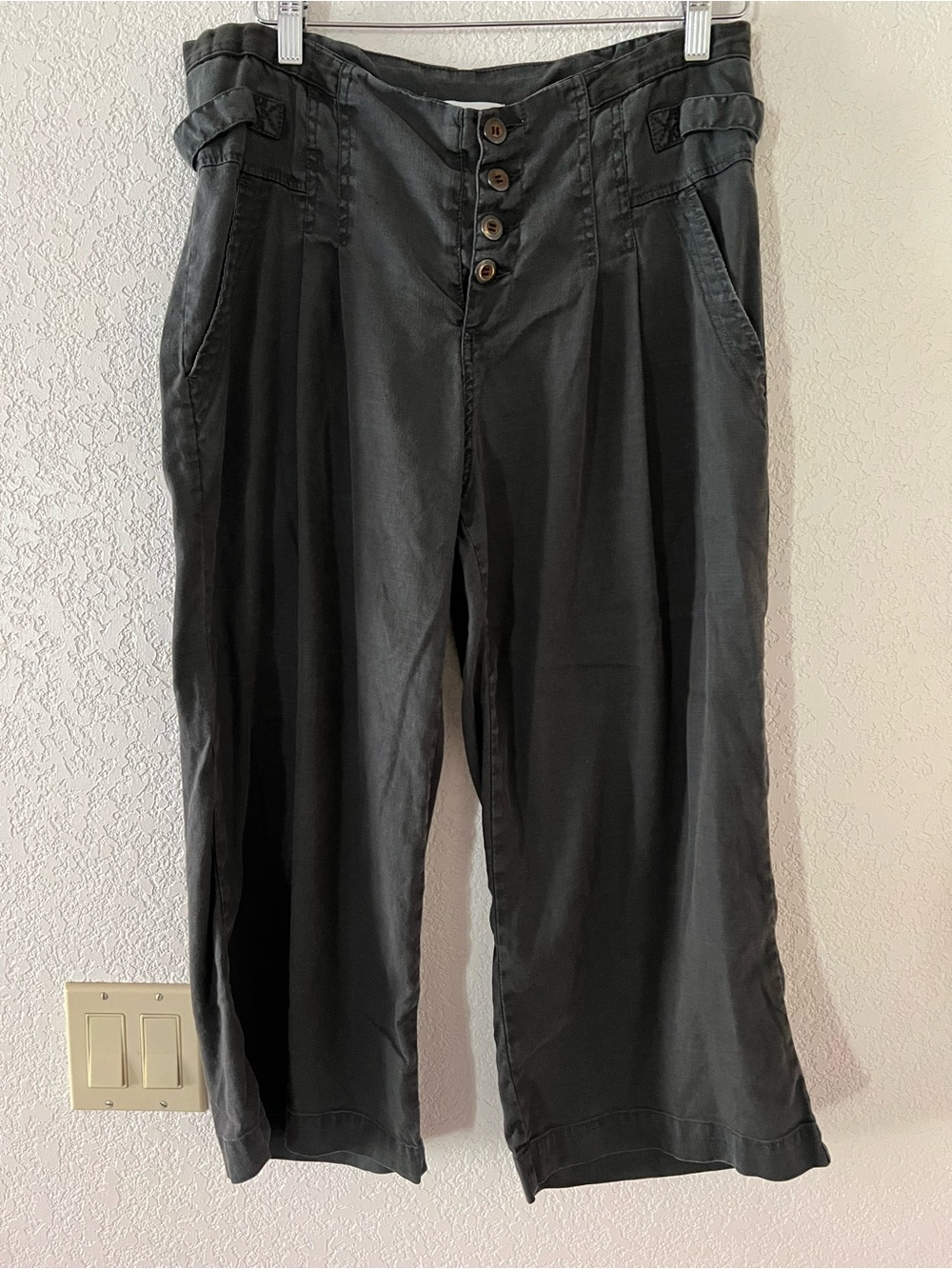 Sundance The Villa Wide Leg Cropped Linen Blend Exposed Button-Fly Pant